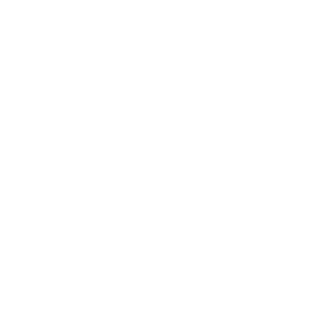 Kapten Viking